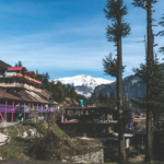 homestays in manali